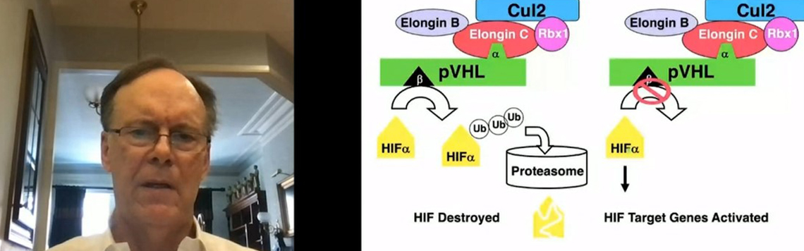 The von Hippel-Lindau Hereditary Cancer Syndrome: From Bedside to Bench to Bedside (2021) - William G. Kaelin, Jr.
