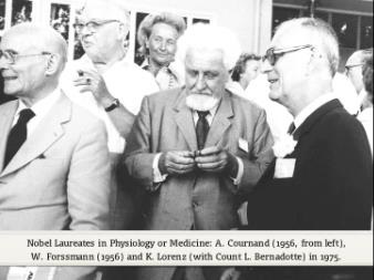 Konrad Lorenz (1981) - The Foundations of Ethology
