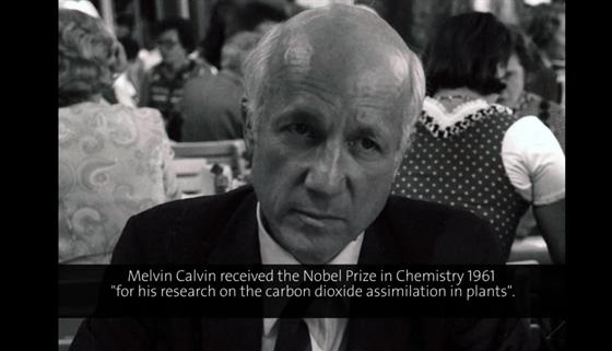 Melvin Calvin (1974) - Carcinogenesis: Chemical, Physical and Biological