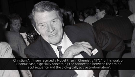 Christian Anfinsen (1983) - Peptide Synthesis - A Useful Tool in the Study of Protein Structures and Function