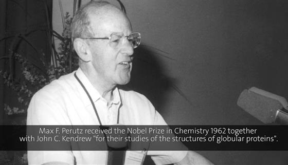 Max Perutz (1986) - Hemoglobin as Receptor for Drugs: Stereochemistry of Bonding