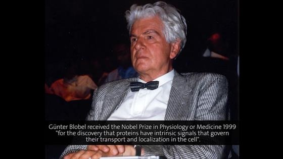 Günter Blobel (2003) - Intracellular Protein Traffic