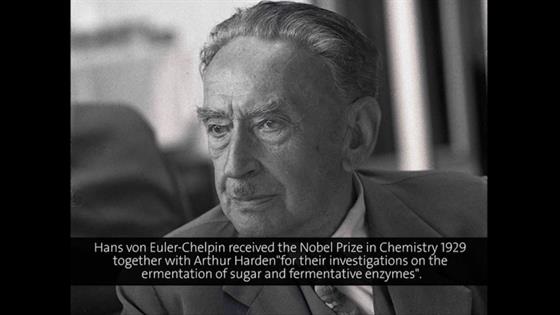 Hans von Euler-Chelpin (1958) - Chemical Structure and Biochemical Effects (German presentation)