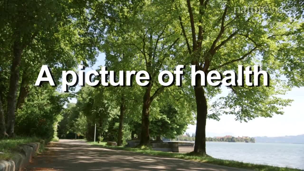 Trailer - A Picture of Health (2014) - In a series of four films, Nobel Laureates and young scientists discuss the implications of a globally ageing population, the possibility of drugs without side effects, scientific achievements in cancer research, and the most recent developments in the battle against HIV.