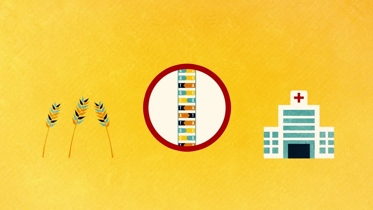 DNA: Natural and Man-Made Alterations (Part 3/5) (2018) - Third part of the series on DNA that explores three different aspects, namely, building blocks of life, replication and alterations