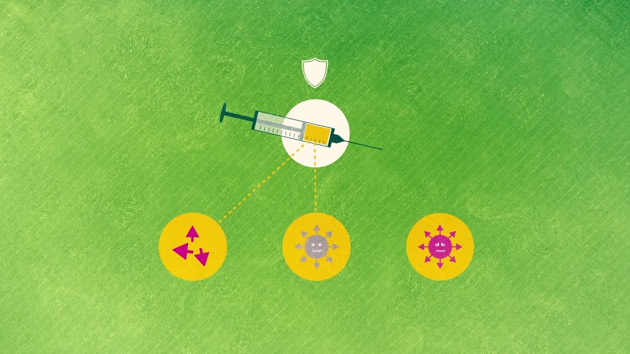 The Immune System and Immunisation (2019) - In this Mini Lecture, learn more about the defense systems of our immune system and how vaccinations help prevent deaths by infections. This is part one of a three-part Mini Lecture series on vaccines.
