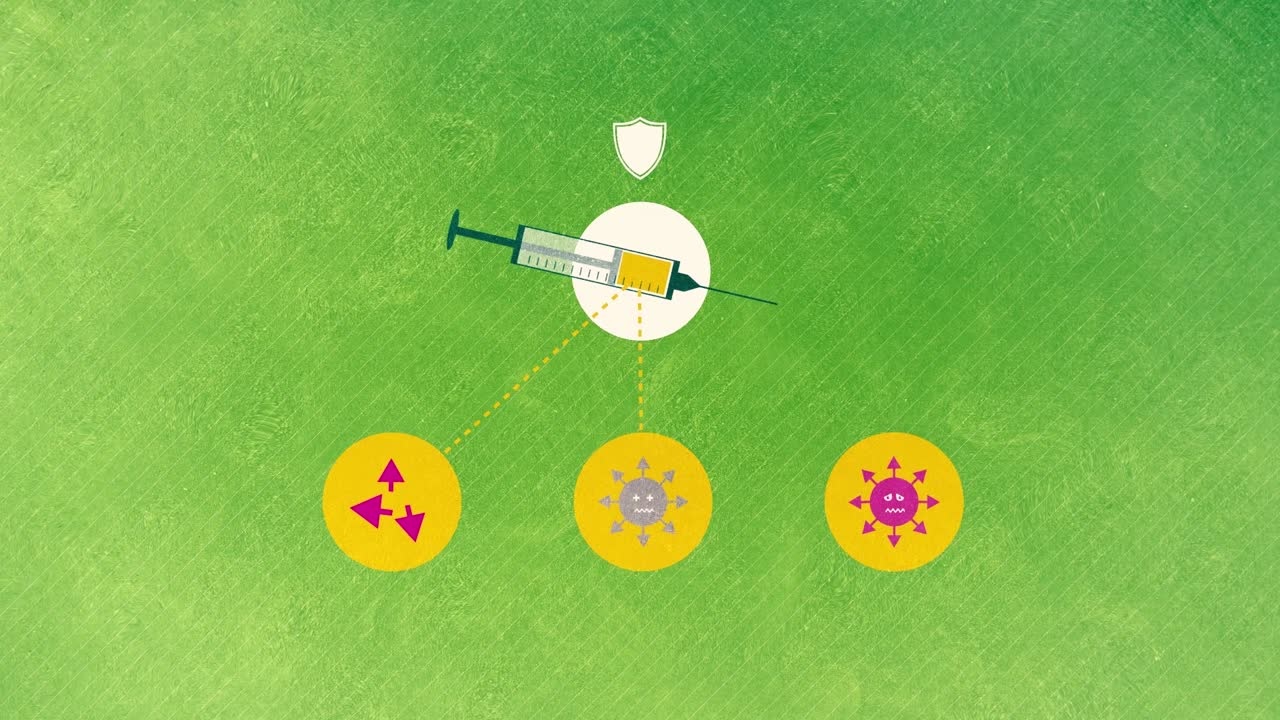 Immunsystem und Immunisierung (2019) - Diese Mini Lecture erklärt den Abwermechanismus unseres Immunsystems und warum die Todeszahlen druch Inektionskrankheiten dank Imfpungen zurückgehen.  Dies ist Teil eins der dreiteiligen Mini Lecture 'Impfungen'.