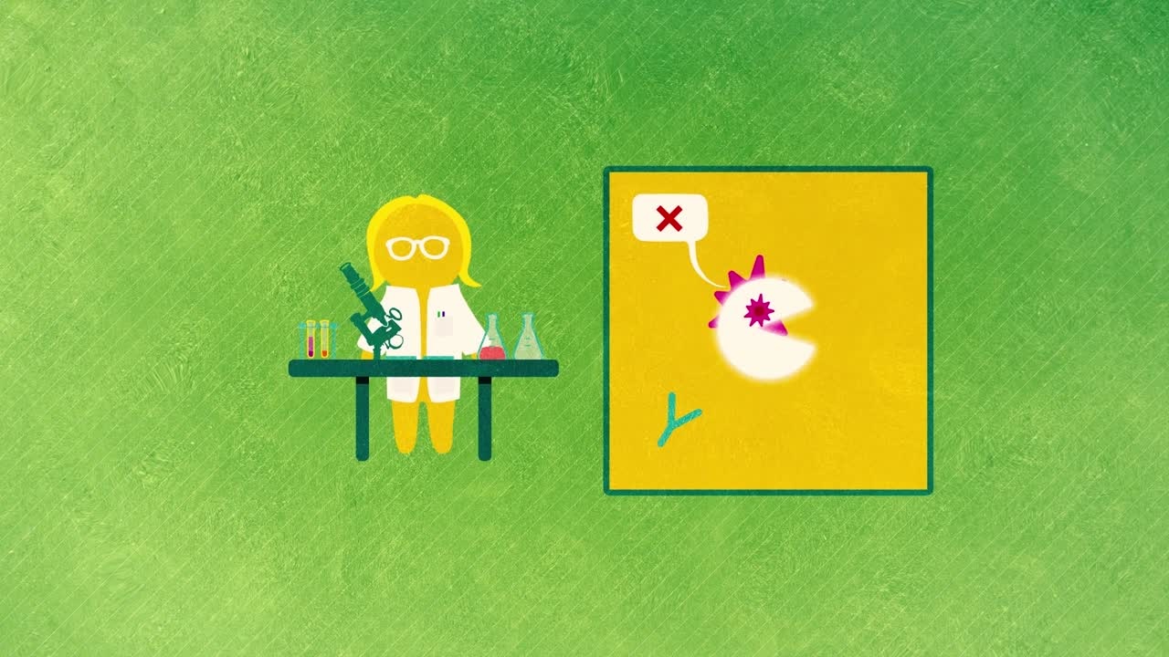 Impfungen: Impfungen Gegen Krebs (Teil 3/4) (2019) - Impfstoffe können den Körper dabei unterstützen gegen den Krebs zu kämpfen. Ein Beispiel hierfür ist die Arbeit der Nobelpreisträger Tasuku Honjo und James P. Allison. Unsere Mini Lecture erklärt wie diese Impfstoffe wirken. Dies ist der dritte Teil der vierteiligen Mini Lecture-Serie 'Impfungen'. 