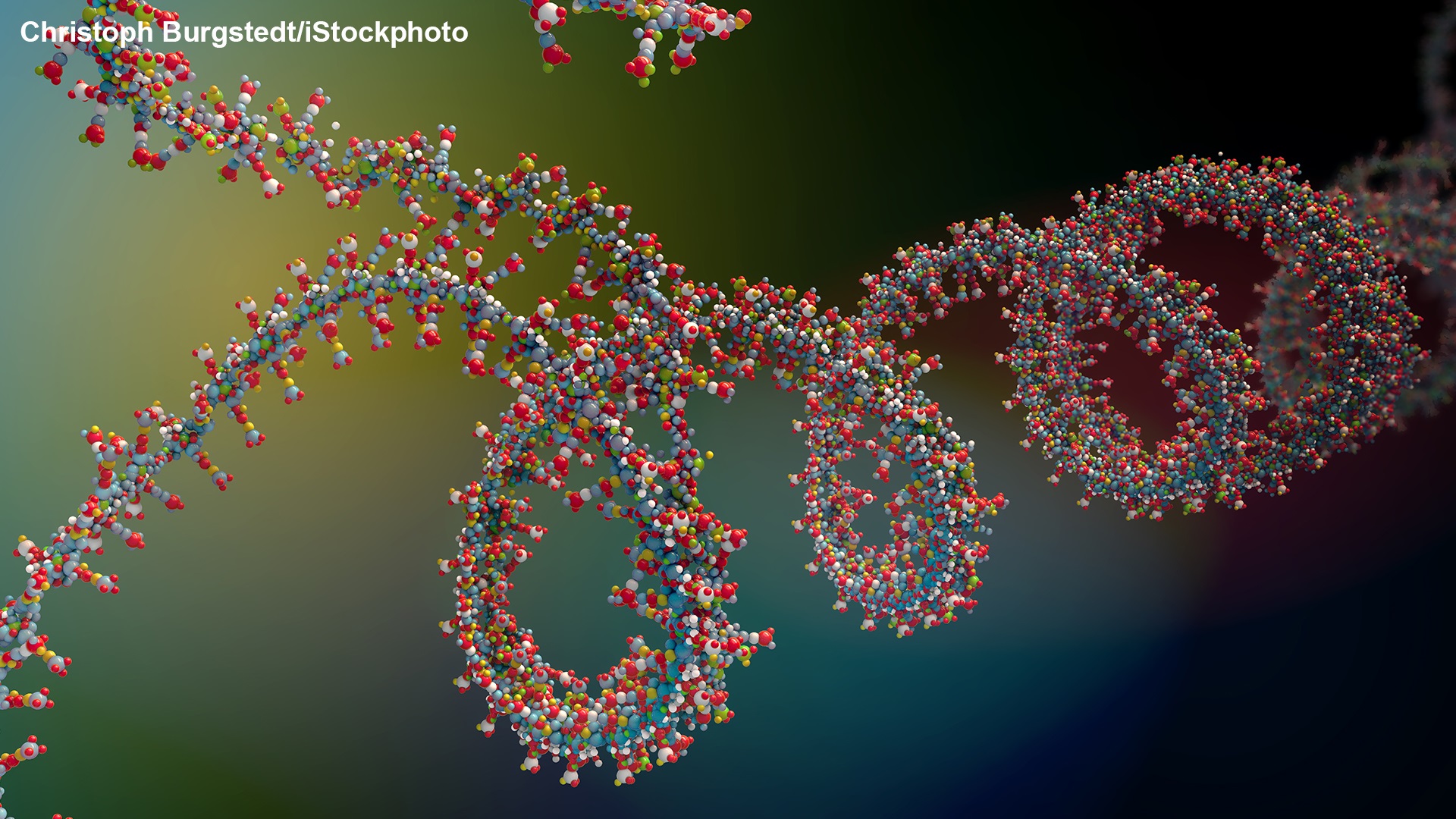 Photo of A Brief History of Protein Biosynthesis and Ribosome Research