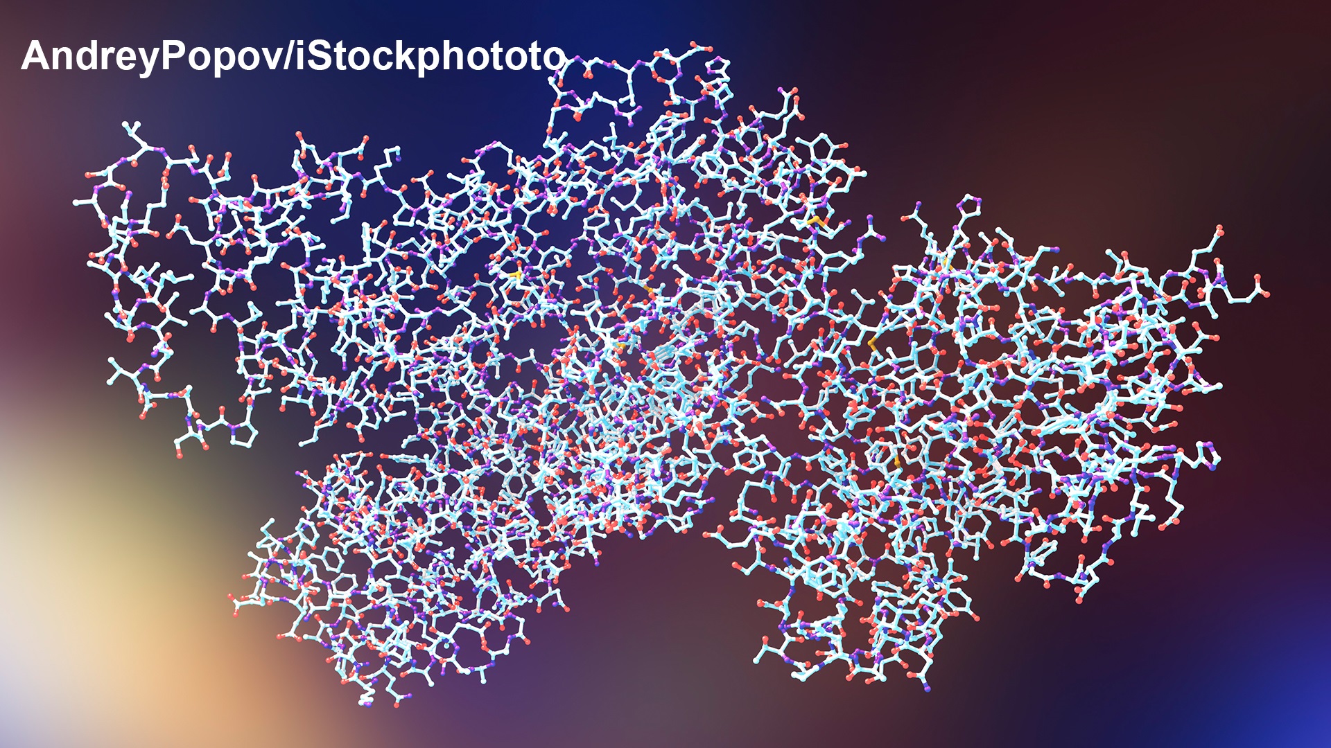 Photo of Polymers