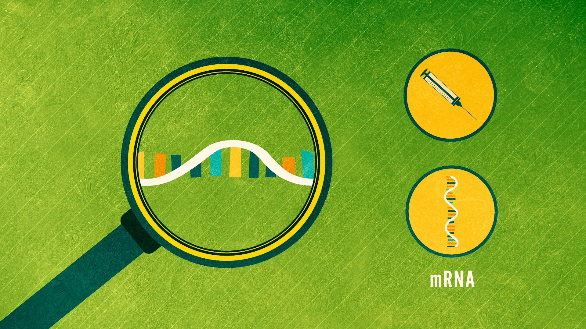 Impfungen: mRNA-Technologie (Teil 4/4) (2019) - Wie werden Proteine in einer Zelle aufgebaut? Der 4. Teil der Serie Impfungen führt in die Funktionsweise der mRNA und deren Bedeutung für die Erstellung neuer Impfstoffe ein.