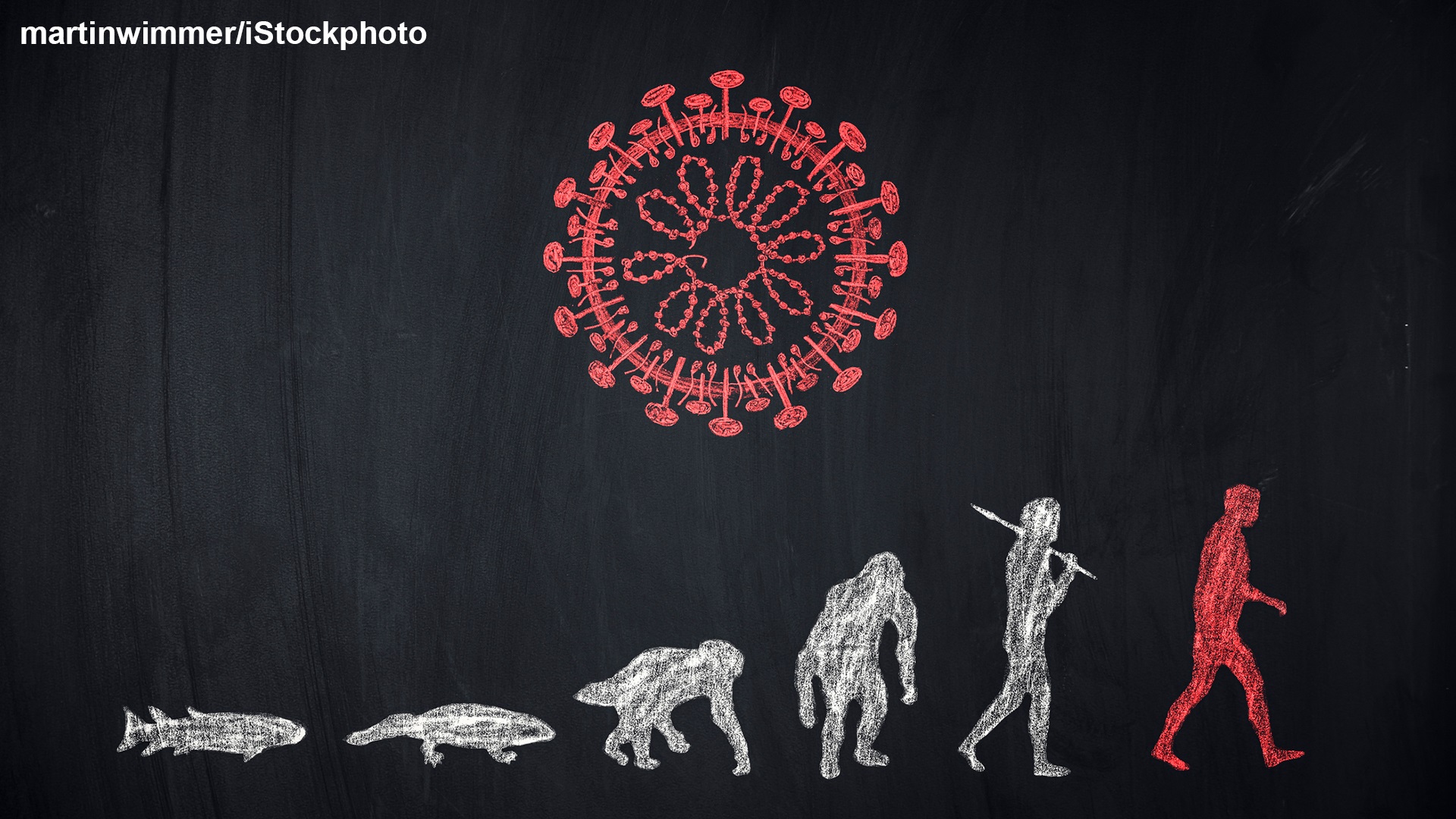 Photo of From Early Man to Homo sapiens - Palaeogenetics