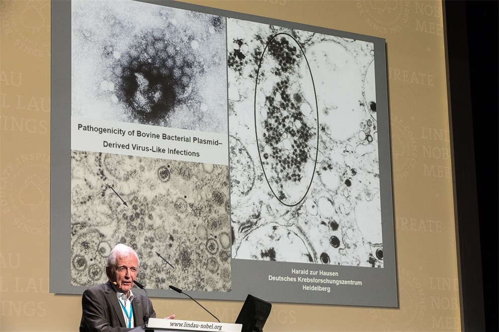 Harald zur Hausen lecturing on "Pathogenicity of Bovine Bacterial Plasmid-Derived Virus-Like Infections"