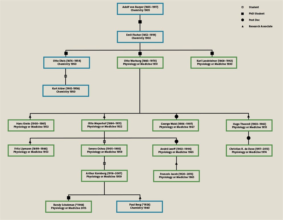 This tree shows a selection of the Nobel Family starting with Adolf von Baeyer. This tree may miss some links but nevertheless shows how the scientific legacy of Adolf von Baeyer has been carried to the 21st century. The colours of the frames indicate the discipline of the Nobel Laureate: blue for Chemistry, green for Physiology or Medicine and orange for Physics.