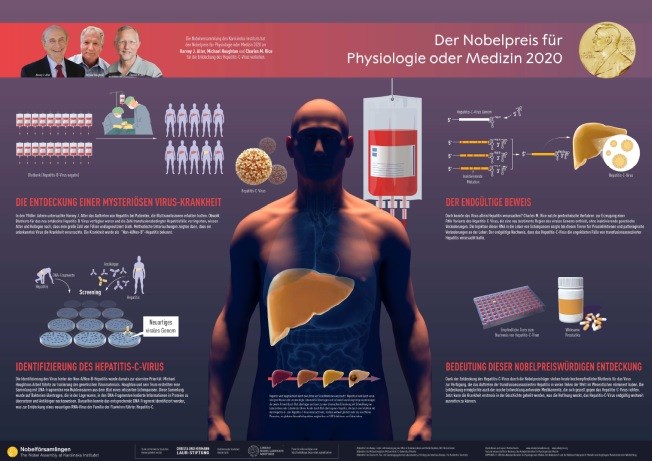 Nobelposter zum Nobelpreis Physiologie oder Medizin 2020, Entdeckung des Hepatitis-C-Virus