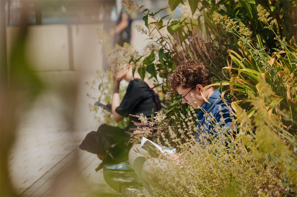 Young Scientists at the 72nd Lindau Nobel Laureate Meeting