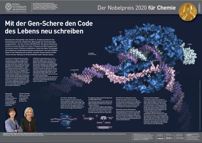Nobel Poster Chemie 2020