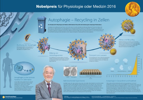 Nobel Poster Medicine 2016