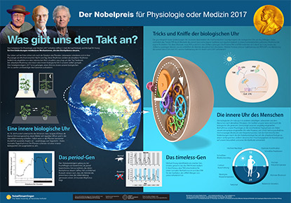 Nobel Poster Medicine 2017