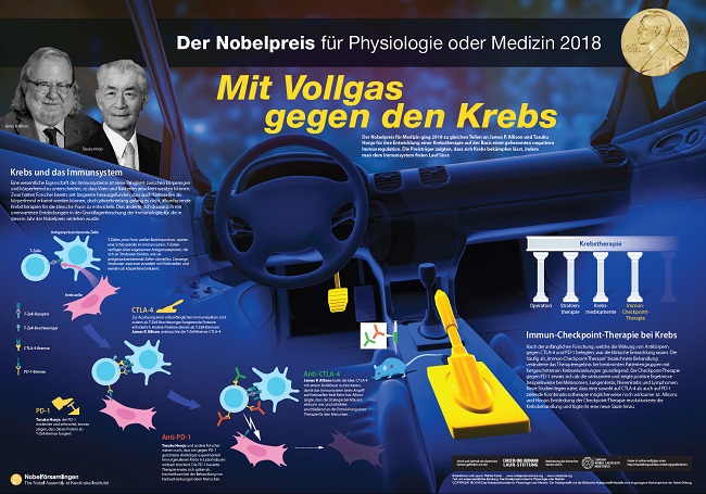 Nobel Poster Medizin 2018