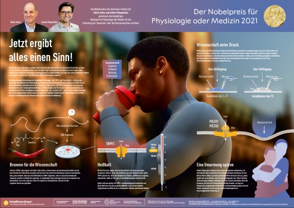 Nobel Poster Medizin 2021